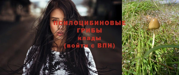 прущие крисы Баксан