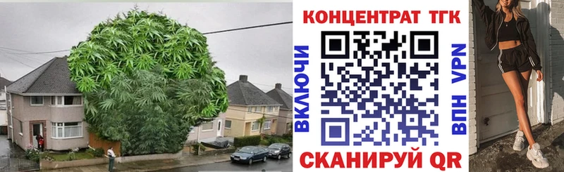ТГК вейп с тгк где найти Кунгур