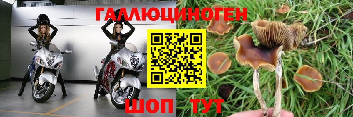 Галлюциногенные грибы MAGIC MUSHROOMS Кунгур