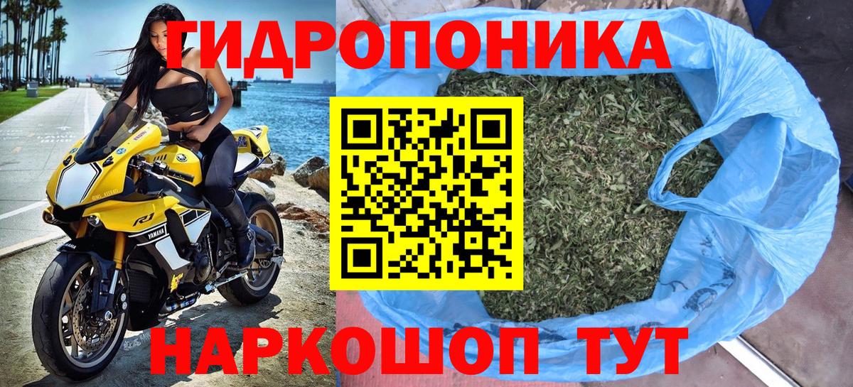 Конопля план Кунгур